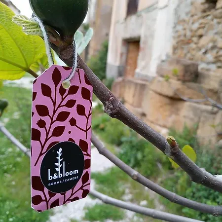 Bandbloom Bed & Breakfast *